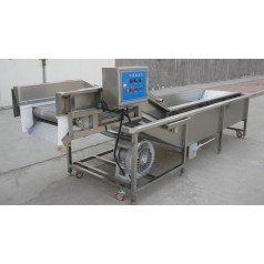 油菜氣泡清洗機，小白菜氣泡清洗機
