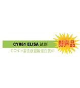 CYR61 是診斷 / 判斷乳腺癌惡化的腫瘤標(biāo)志物。