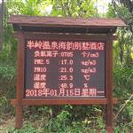 清新空氣負氧離子監(jiān)測系統(tǒng)全彩屏顯示數據